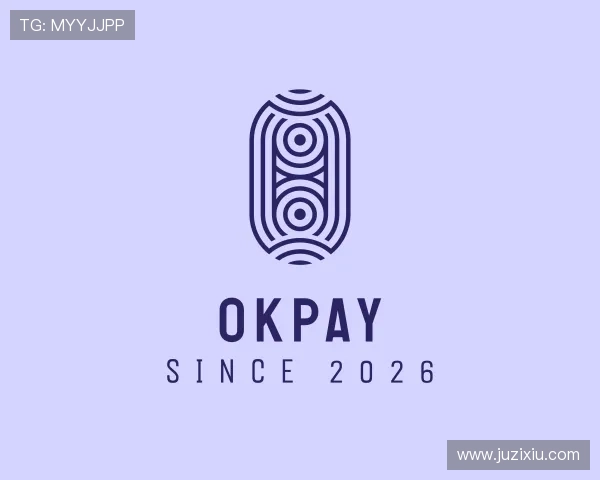 了解OKPAY钱包